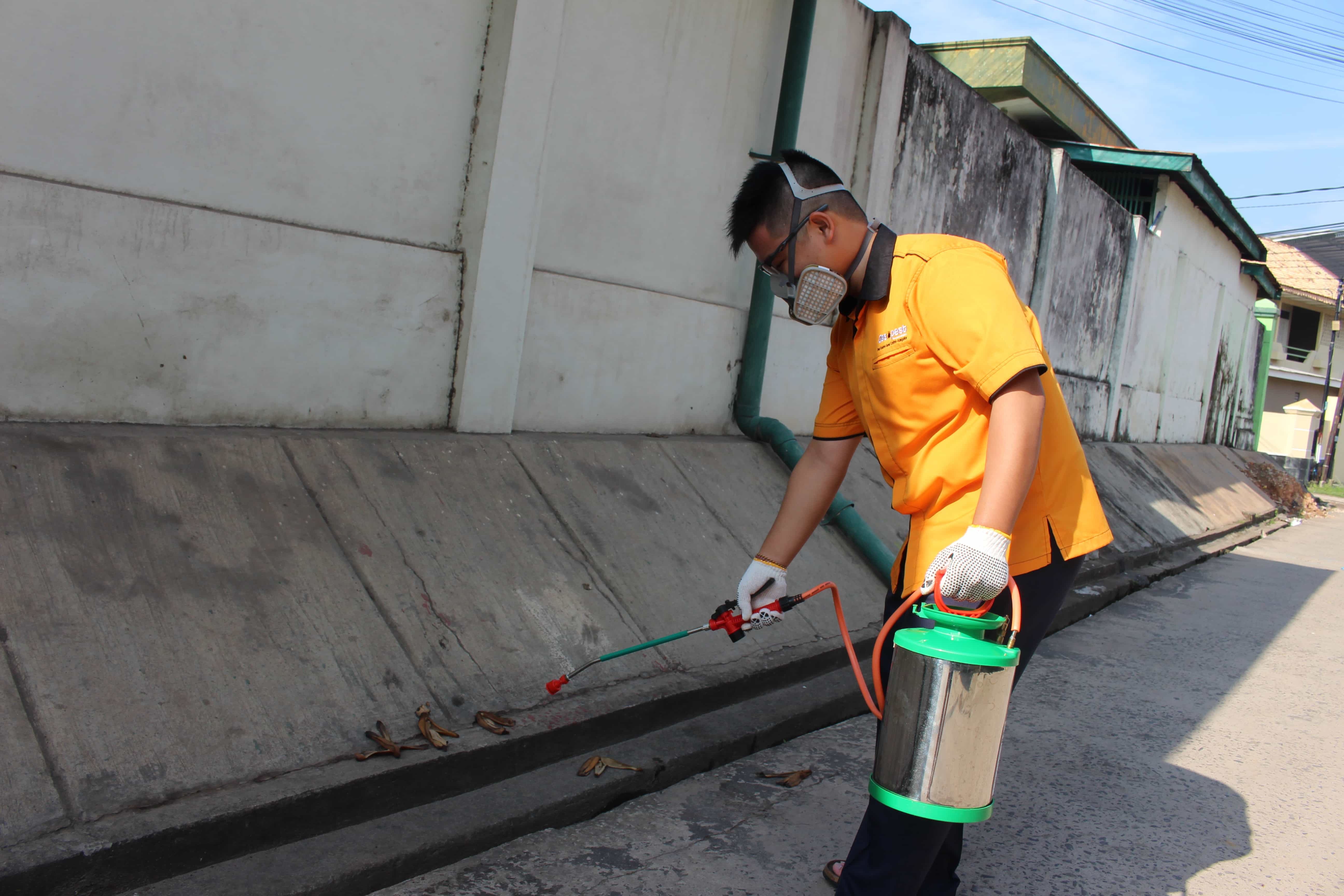 Treatment Anti Rayap Pra Konstruksi