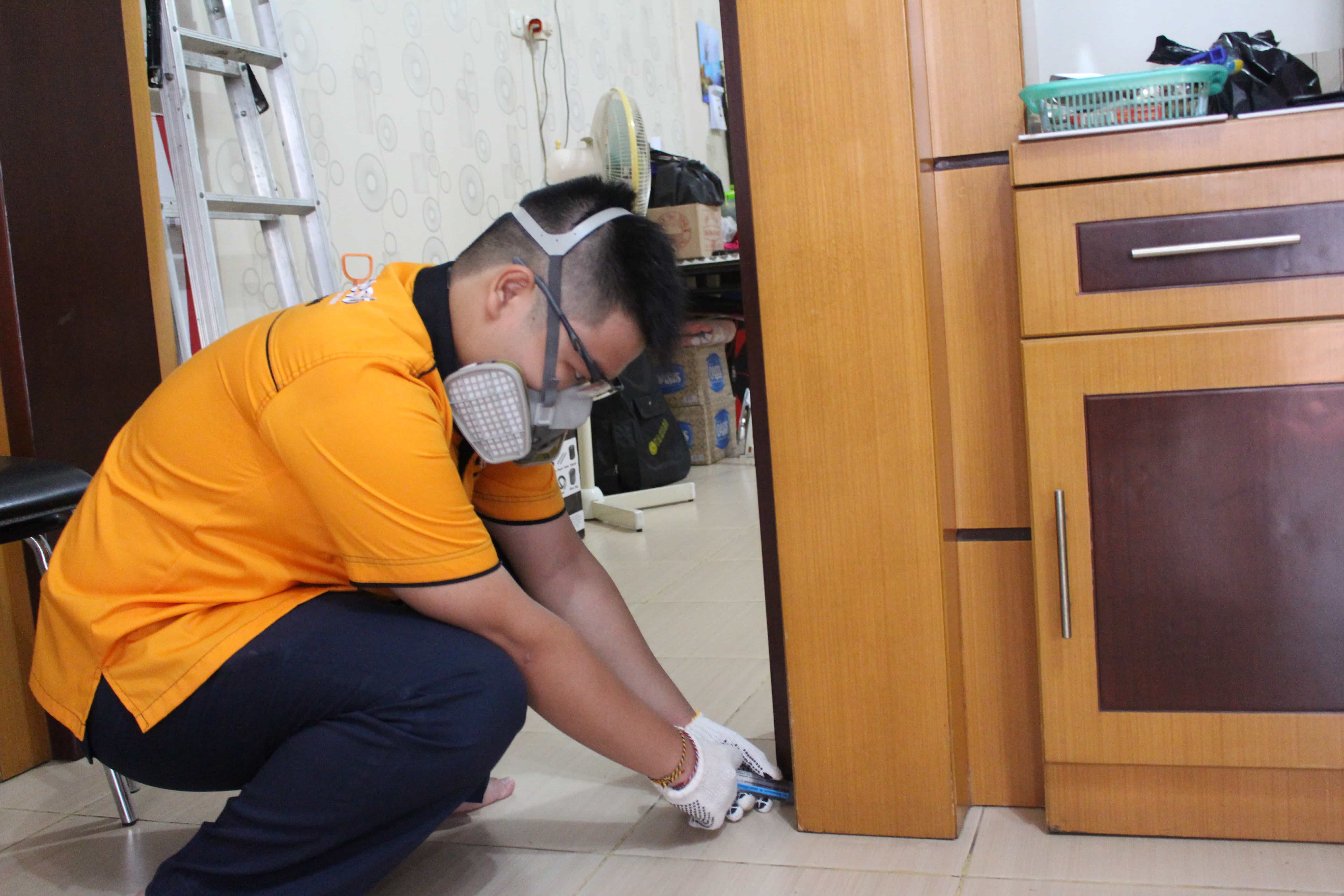 Pengendalian Tikus (Rodent Control)